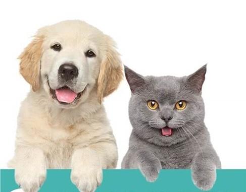 20221112163306_37055 20221112163306_37055