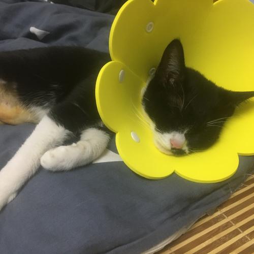 20221112163306_39631 20221112163306_39631