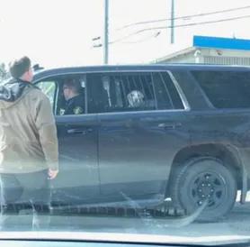 犬类英语知识(知识类节目英语)-警犬训练器材厂家 _警犬训练用品_工作犬训练用品-南京开久警犬装备