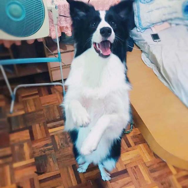 20221112164708_18873 20221112164708_18873