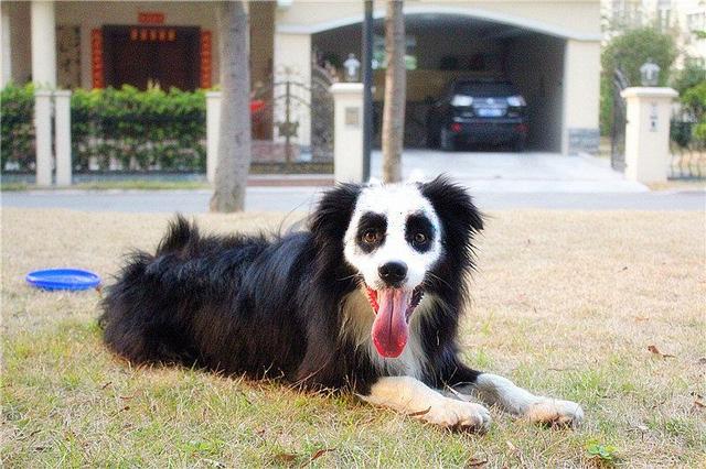 20221112164708_24501 20221112164708_24501