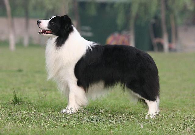 20221112164708_56628