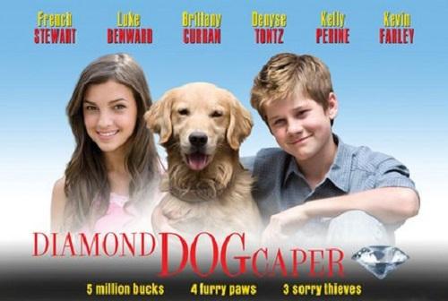 *** 里宠物比较好听的狗狗名字 - 警犬训练器材厂家 _警犬训练用品_工作犬训练用品-南京开久警犬装备-警犬训练器材厂家 _警犬训练用品_工作犬训练用品-南京开久警犬装备