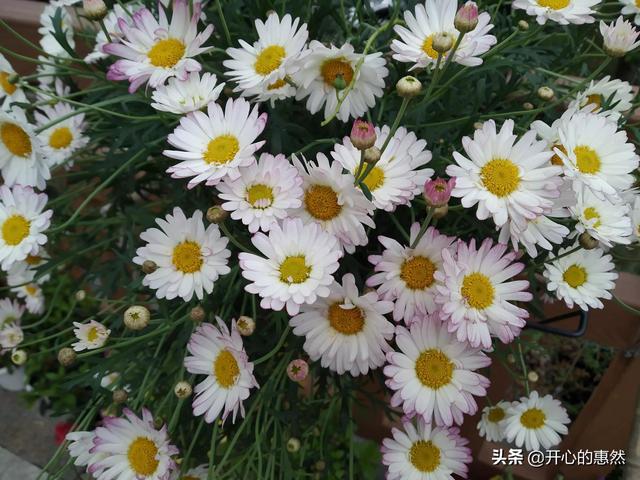 20221112165337_54147