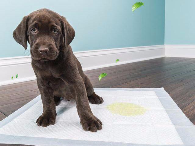 20221112180007_56796 20221112180007_56796