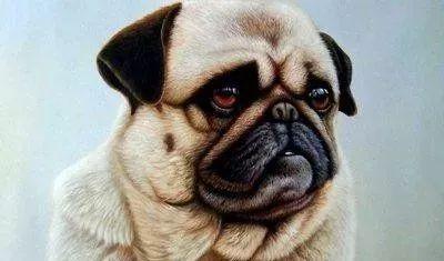 20221112180205_50243