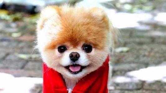 20221112180205_78468