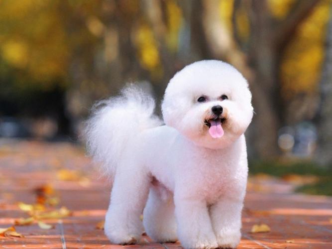 20221112180507_45560