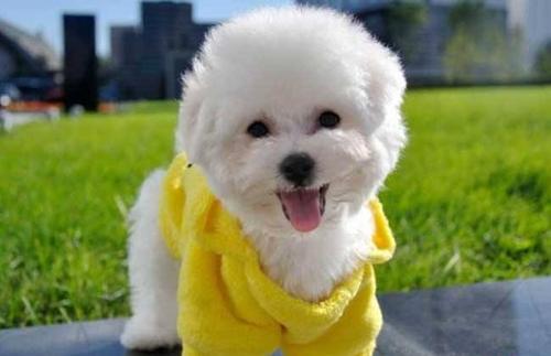 20221112180508_20277