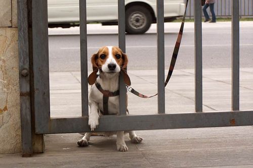 20221112182037_62197 20221112182037_62197