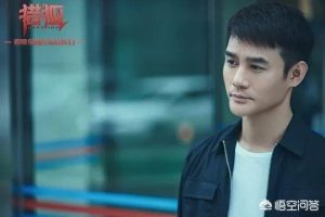 博得猎狐犬怎么样?博得猎狐犬饲养狗狗品种-警犬训练器材厂家 _警犬训练用品_工作犬训练用品-南京开久警犬装备