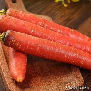 狗狗吃什么亮毛发(狗狗毛发干枯无光泽吃什么)-警犬训练器材厂家 _警犬训练用品_工作犬训练用品-南京开久警犬装备