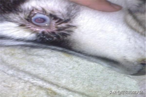 20221112193222_25494 20221112193222_25494