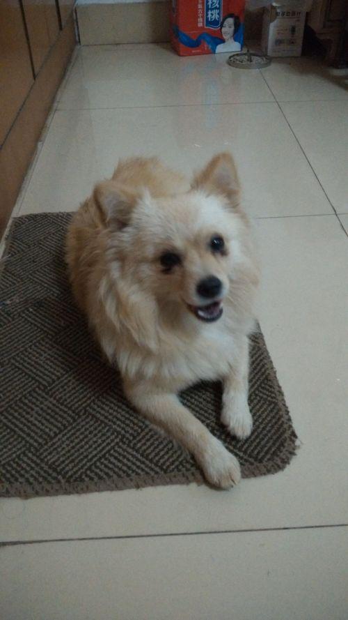 20221112193418_11130