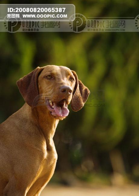 20221112193419_41663