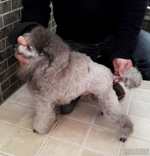 20221112193645_56575 20221112193645_56575