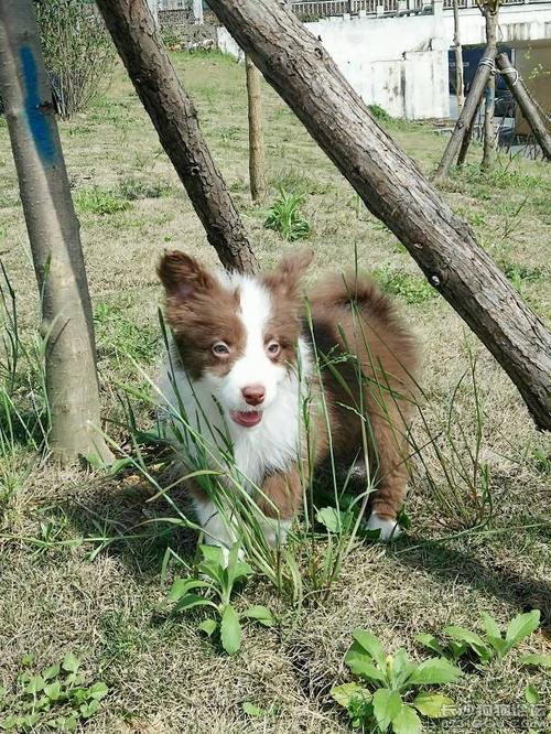 20221112193646_72687 20221112193646_72687