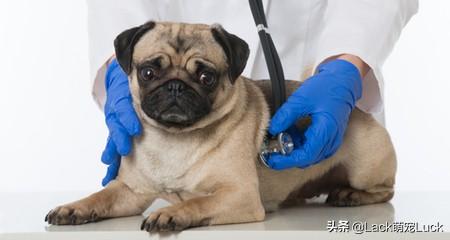 20221112194859_77287 20221112194859_77287