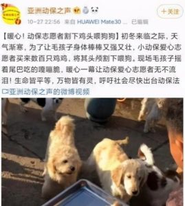 爱狗人士花钱救狗,北京爱狗人士围堵运狗车-警犬训练器材厂家 _警犬训练用品_工作犬训练用品-南京开久警犬装备
