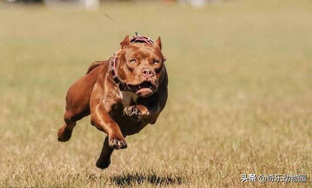 20221112202509_68858