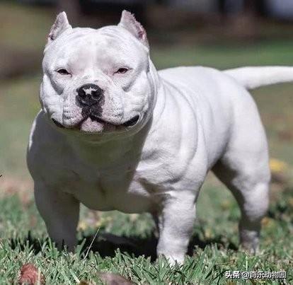 20221112202509_79705