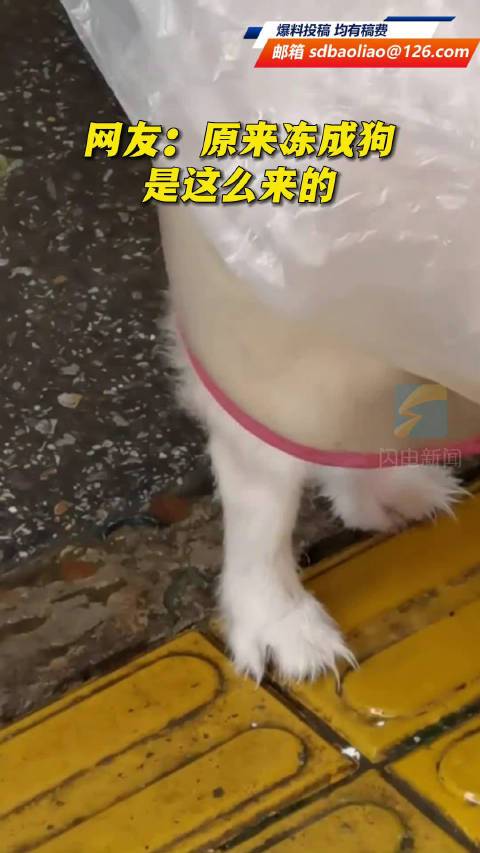 20221112202914_69106 20221112202914_69106