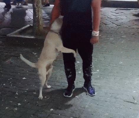 20221112202915_13088 20221112202915_13088