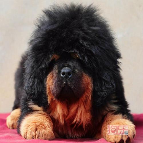 20221112203108_25759