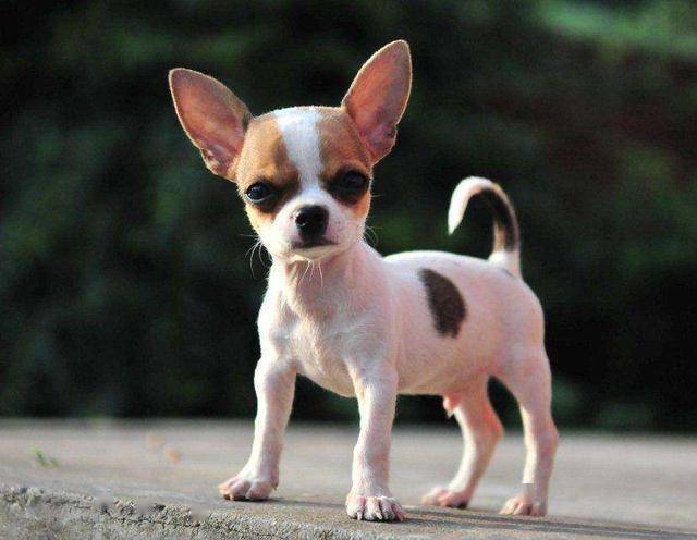 20221112205311_43339