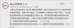 猫狗不会被传染新冠(猫狗不会被传染新冠病毒中国国家科学院)-警犬训练器材厂家 _警犬训练用品_工作犬训练用品-南京开久警犬装备