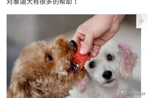 20221112205645_83296 20221112205645_83296