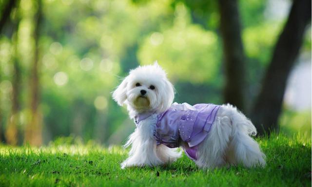 20221112214306_14902 20221112214306_14902