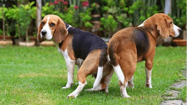 20221112214306_55341 20221112214306_55341