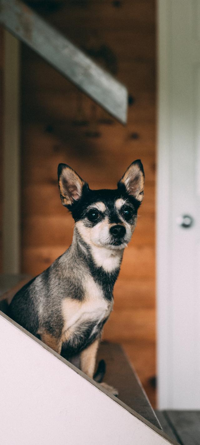 20221112214720_75097 20221112214720_75097