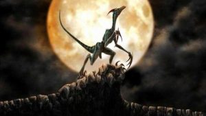 主角重生成狗有系统的 ***-警犬训练器材厂家 _警犬训练用品_工作犬训练用品-南京开久警犬装备