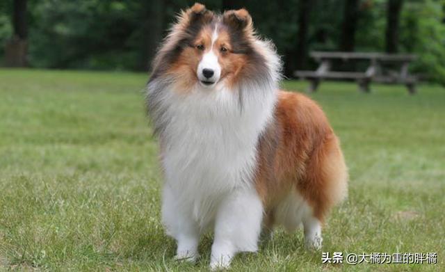 20221112215622_22675