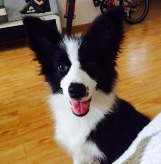 20221112220957_95303