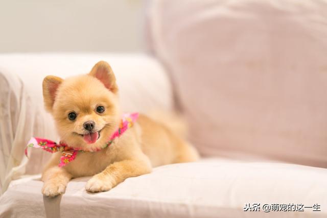 20221112221500_69354