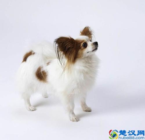 20221112222233_97637 20221112222233_97637