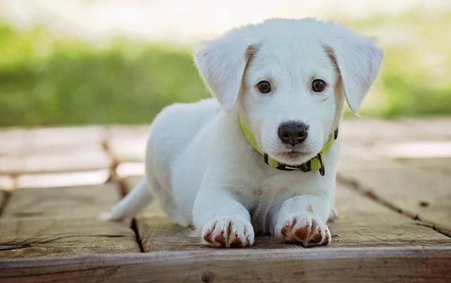 20221113084139_45594 20221113084139_45594