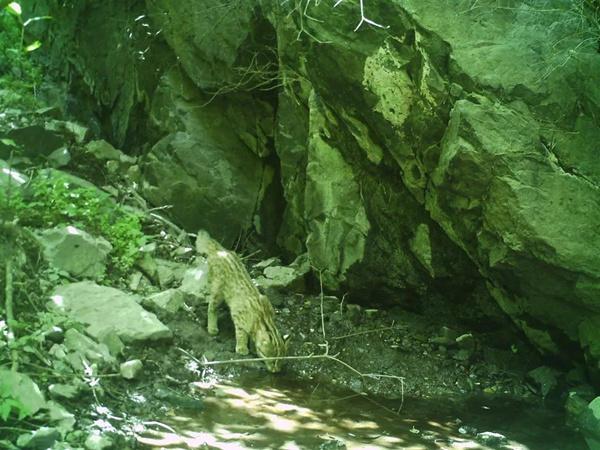 20221113085023_52765 20221113085023_52765