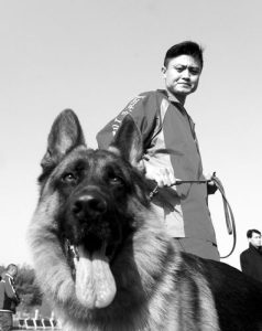 中国牧羊犬俱乐部_csv德国牧羊犬俱乐部-警犬训练器材厂家 _警犬训练用品_工作犬训练用品-南京开久警犬装备