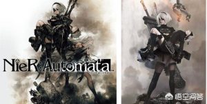 八犬coser多少岁了(马来西亚coser八犬)-警犬训练器材厂家 _警犬训练用品_工作犬训练用品-南京开久警犬装备