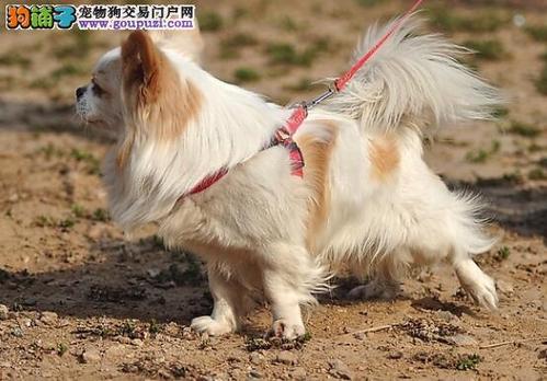 20221113092710_97169