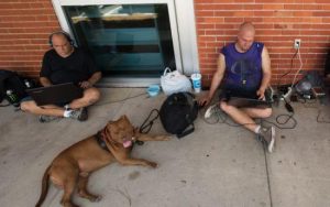 美国比特犬厉害吗(美国养比特犬的人多吗)萌宠-警犬训练器材厂家 _警犬训练用品_工作犬训练用品-南京开久警犬装备