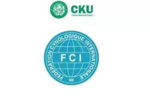 cku犬只查询  cku官网上犬只查询-警犬训练器材厂家 _警犬训练用品_工作犬训练用品-南京开久警犬装备