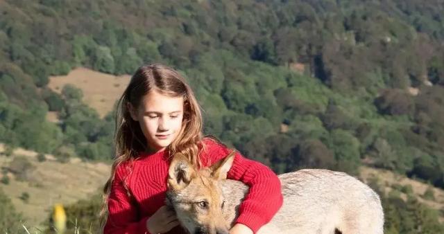 20221113094136_90467 20221113094136_90467