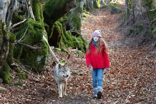 20221113094137_49857 20221113094137_49857