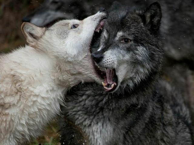 20221113094219_75946 20221113094219_75946