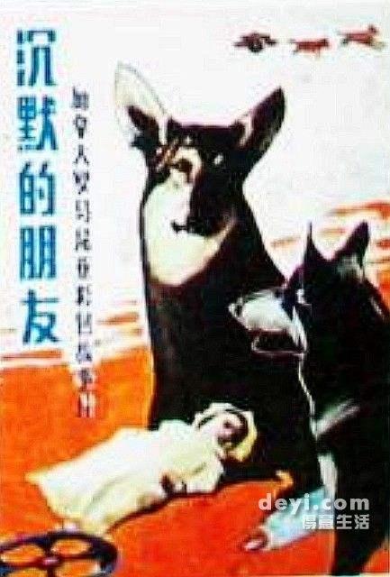 20221113095247_10825 20221113095247_10825